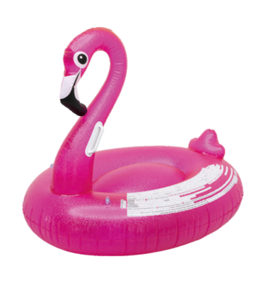 Swan floatie