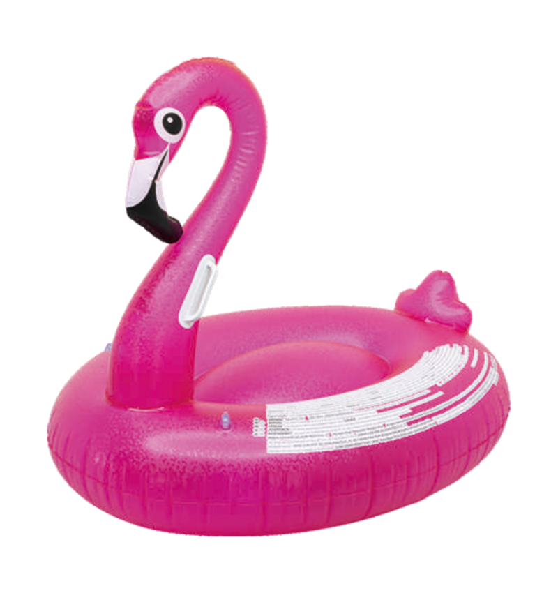 Swan floatie